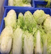 新鲜蔬菜产品展示