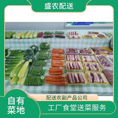 东莞蔬菜配送服务 新鲜蔬菜直达餐桌