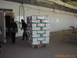 寿光碧龙蔬菜果品新鲜蔬菜产品列表
