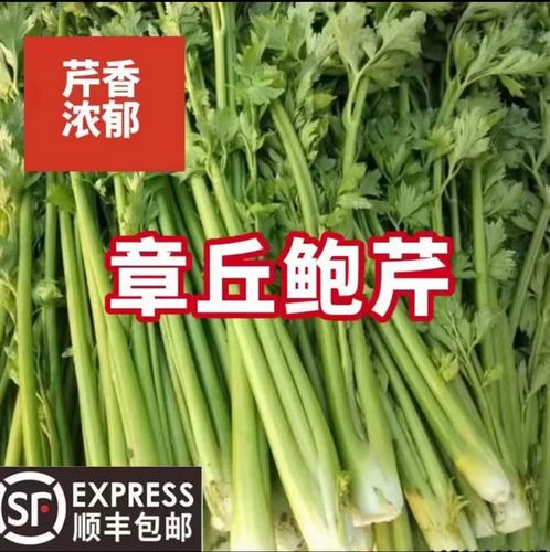 顺丰速运，锁住初冬第一口鲜 正宗章丘鲍芹，脆嫩无丝，生吃都是甜
