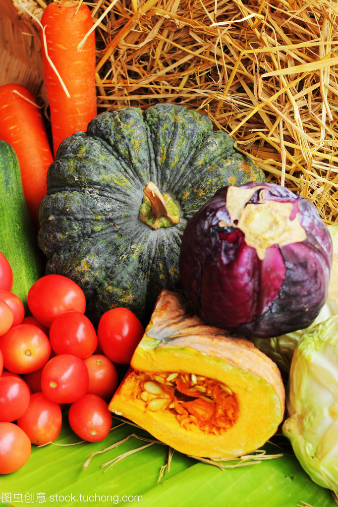 新鲜蔬菜 健康生活的基石