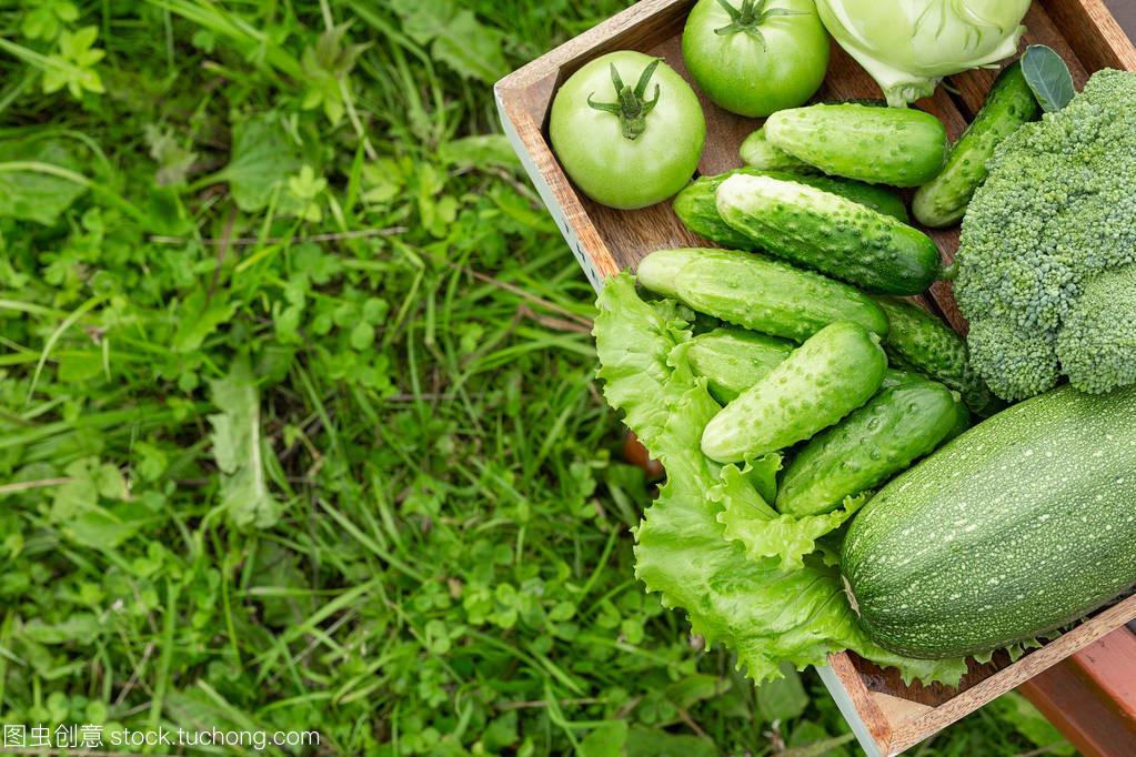 绿色草地上的新鲜蔬菜
