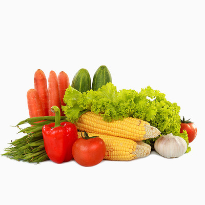 新鲜蔬菜 健康生活的绿色之源